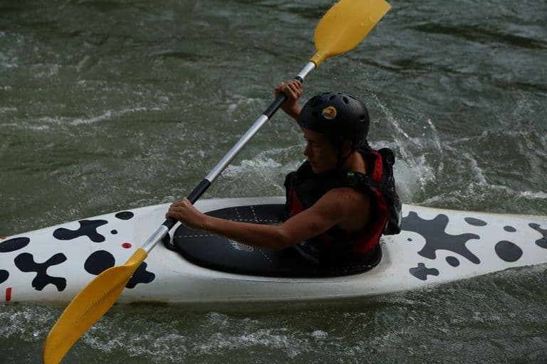Séance du 23/07/2013