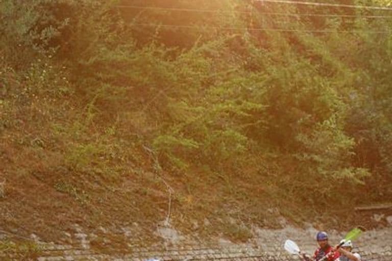 Séance du 23/07/2013