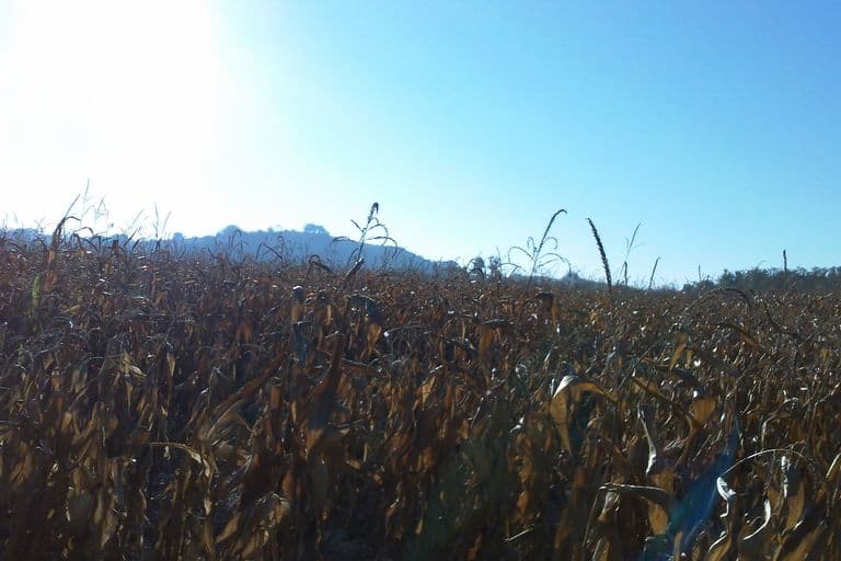 Compétition de descente Venerque 2011