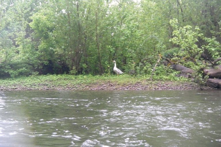 Dordogne 25-26/04/2015