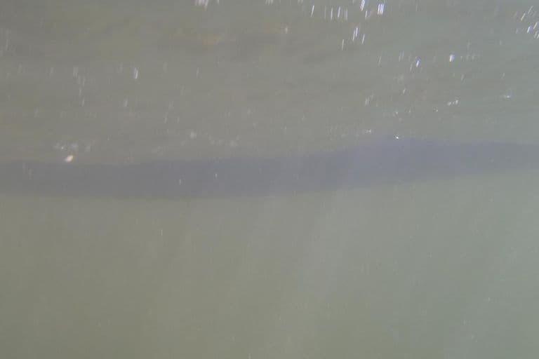 Sortie club Ariege du 25/08/2013