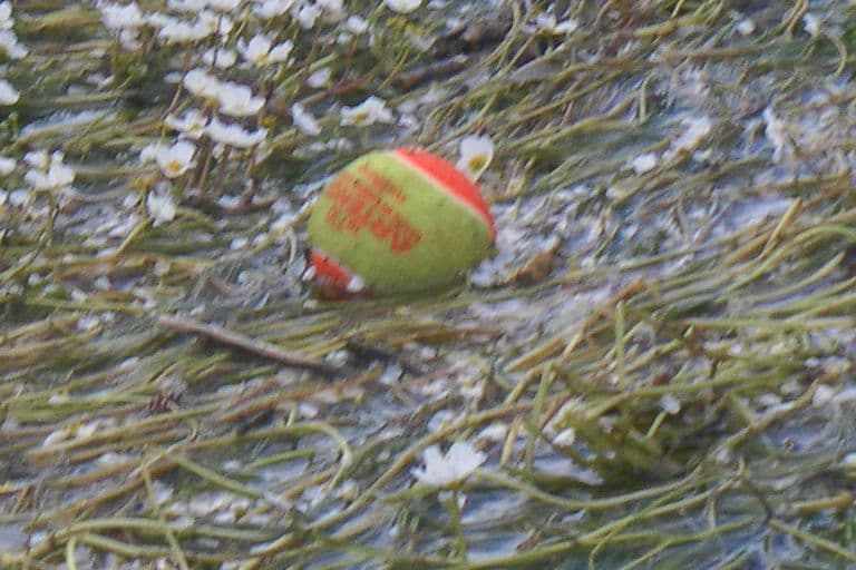 Nettoyage de rivières CKT 2016