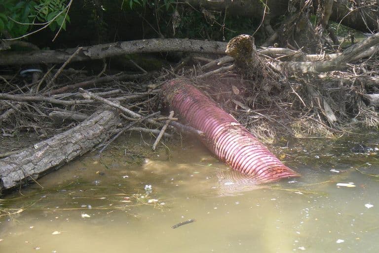 Nettoyage de rivières CKT 2016
