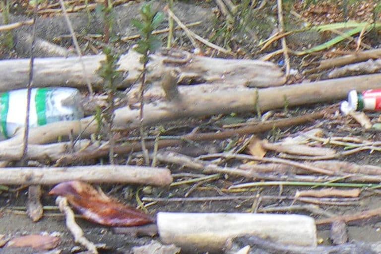 Nettoyage de rivières CKT 2016