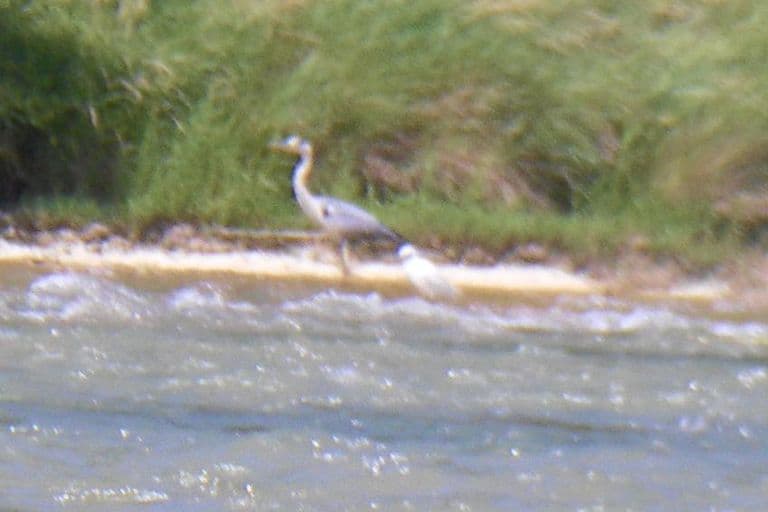 Nettoyage de rivières CKT 2016