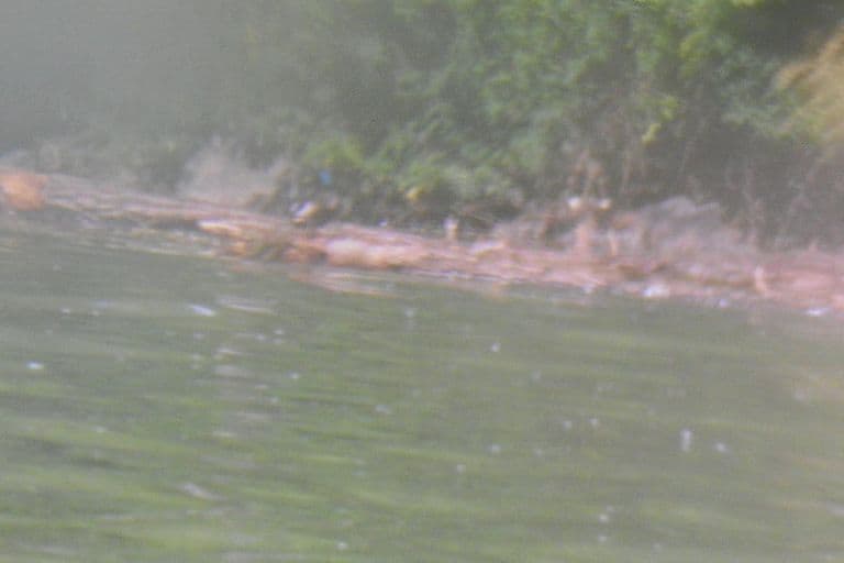 Nettoyage de rivières CKT 2016