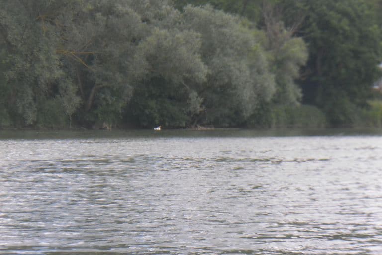 Nettoyage de rivières CKT 2016