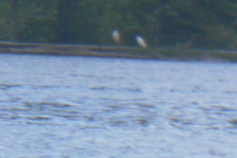 Nettoyage de rivières CKT 2016