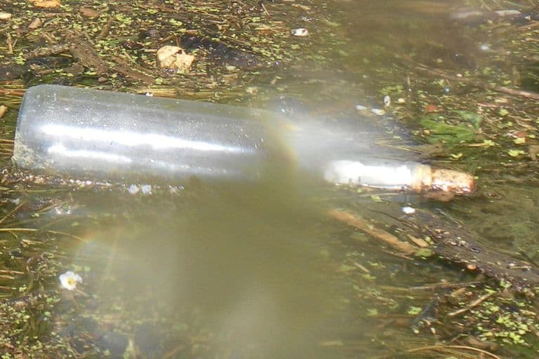 Nettoyage de rivières CKT 2016