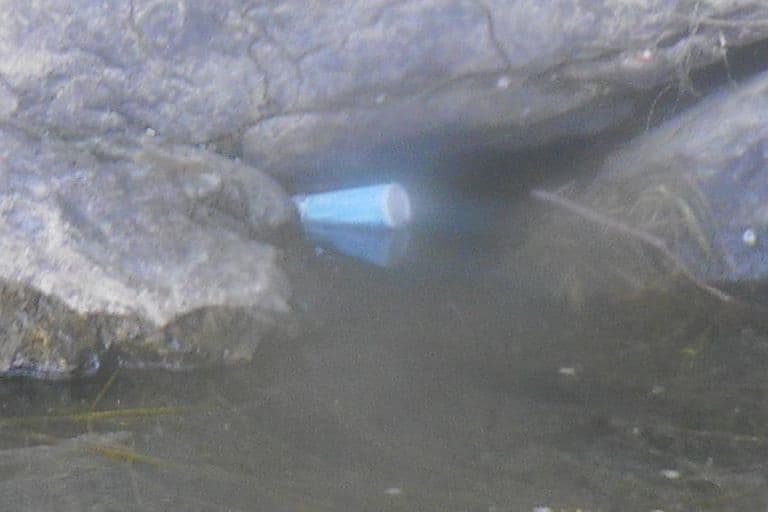 Nettoyage de rivières CKT 2016