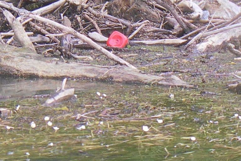 Nettoyage de rivières CKT 2016