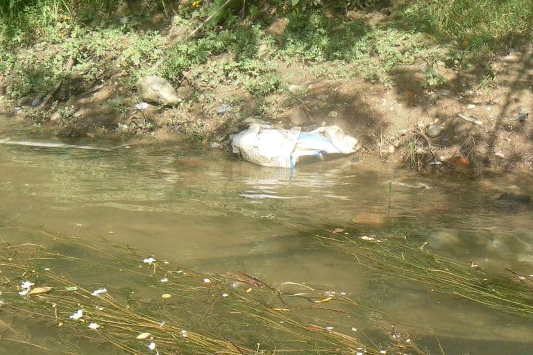 Nettoyage de rivières CKT 2016