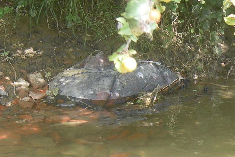 Nettoyage de rivières CKT 2016
