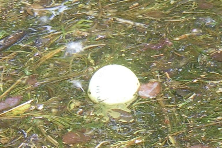 Nettoyage de rivières CKT 2016