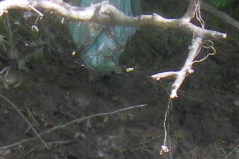 Nettoyage de rivières CKT 2016