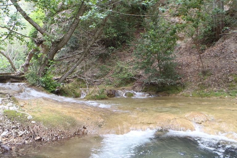 Sortie Palla, juin 2017