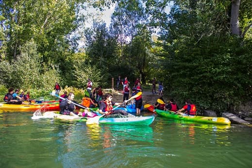 Nettoyage 05/10/2019