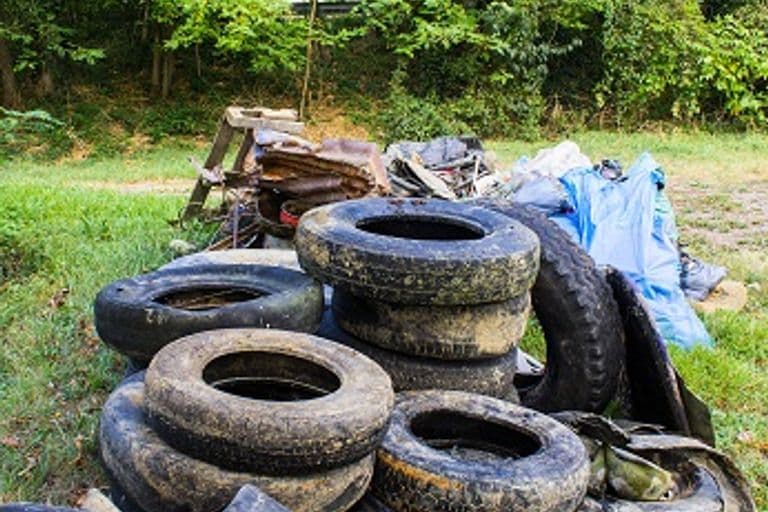 Nettoyage 05/10/2019